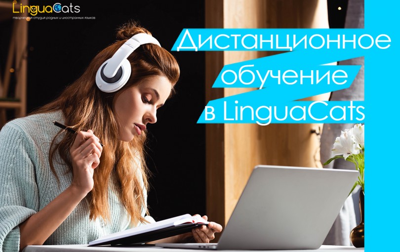 Студія LinguaCats пропонує послугу навчання on-line!