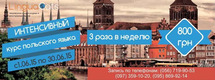 Интенсивный курс польского языка 